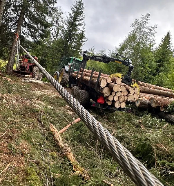 Trefelling