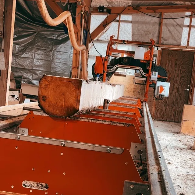 Oransj mobil leiesag